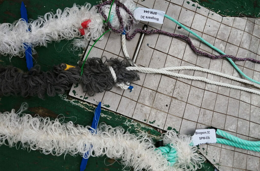 A motorized and virtualized raft project will optimize mussel farming